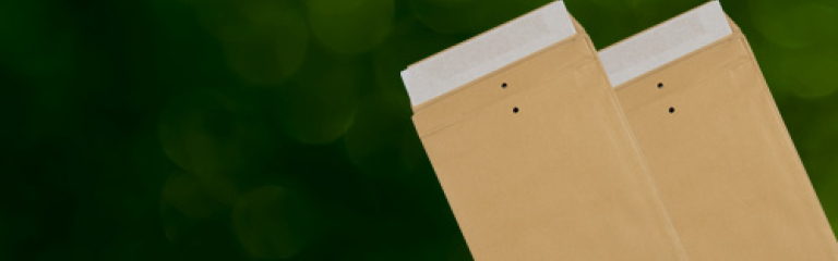 VITA Kraft Eco Cushion Envelopes
